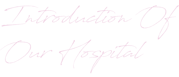 Introduction Of Our Hospital