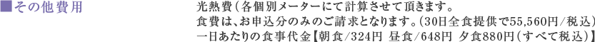 その他費用