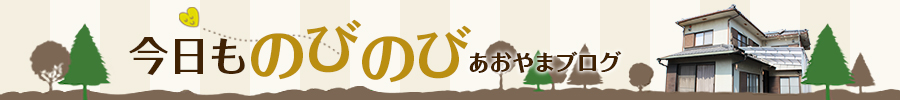 今日ものびのびあおやまブログ